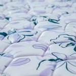 PLACAS-PRINCES-20-DETALLE