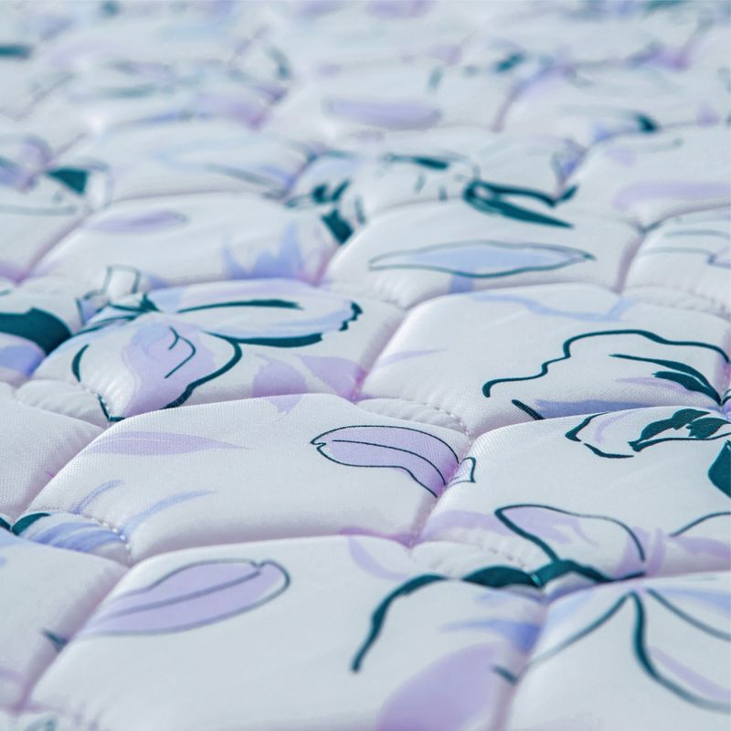 PLACAS-PRINCES-20-DETALLE