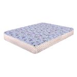 PLACAS-PRINCES-20-2-plazas