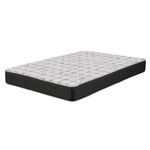PLACAS-RENOVATION-colchon-2-plazas