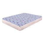 PLACAS-PRINCES-20-2-plazas