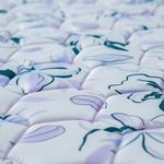 PLACAS-PRINCES-20-DETALLE