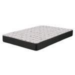 PLACAS-RENOVATION-colchon-2-plazas