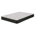 PLACAS-RENOVATION-colchon-2-plazas