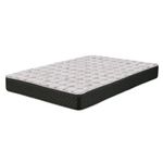 PLACAS-RENOVATION-colchon-2-plazas
